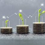 trees growing on coins, business with csr practice, Save and gro