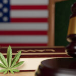 Licensing & managing cannabis programs: A new challenge for state and local governments
