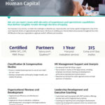 MGT Organizational Solutions: Human Capital Flatsheet