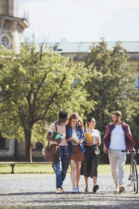 higher education organization review