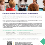 Literacy Needs Assessment Flatsheet